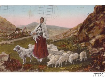 Shepherdess Sheep Gp