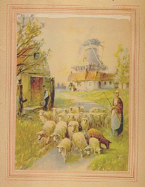 Shepherdess Sheep Holland