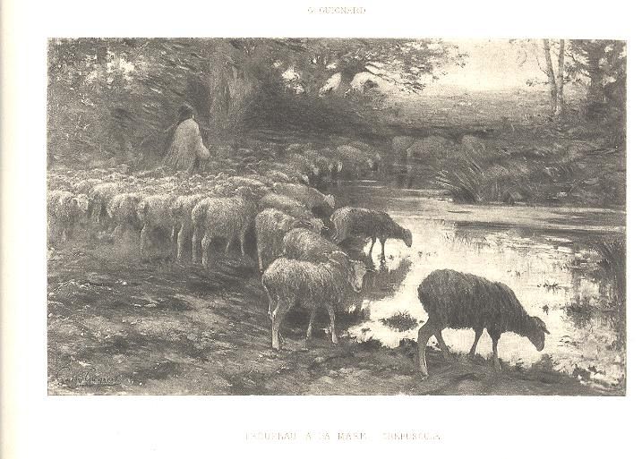 Shepherdess Takes Sheep to Water