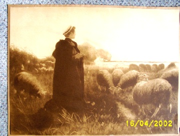 Shepherdess with 12 Sheep