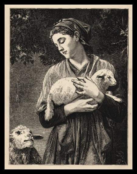 Shepherdess with Lamb and Ewe