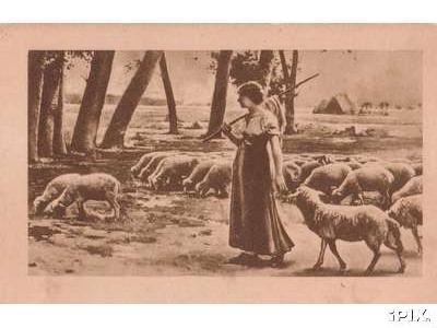 Shepherdess with Sheep2