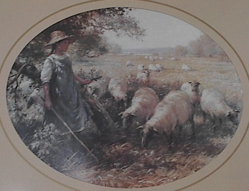Shepherdess with Suffolk