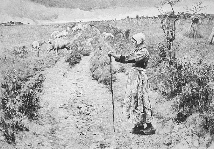 Shepherdess with Wooden Shoes Sheep Etching