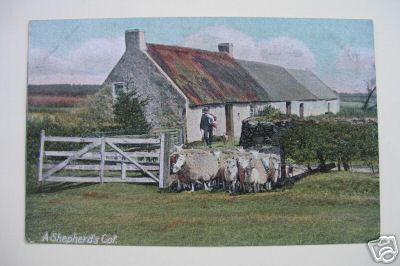 Shepherds Cot Cottage and Sheep