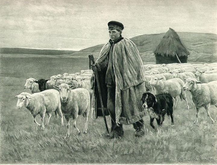 Sheprd with Dog and Sheep