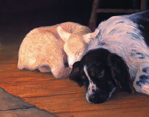 Sleeping Lamb and BC