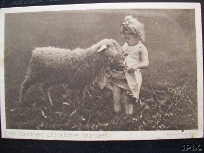 Small Child Person with Sheep
