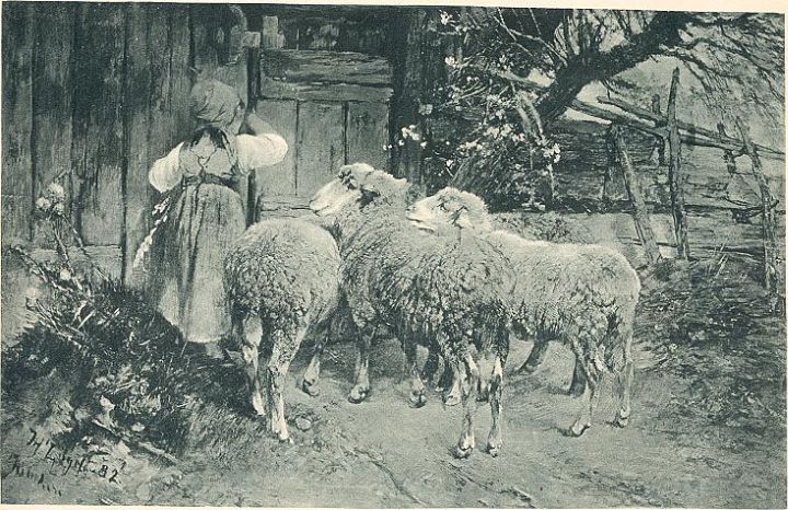 Small Girl Shepherdess with 3 Ewes