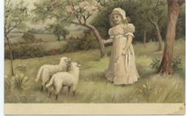 Small Girl with 2 Sheep
