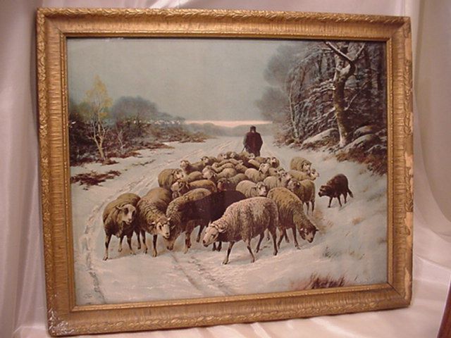 Small Sheep Flock in Winter