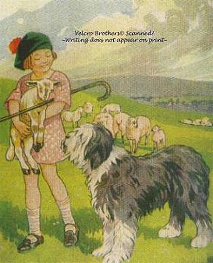 Small Shepherdess with Lamb and Old English Sheep Dog