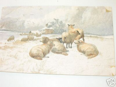 Snowy Sheep Scene