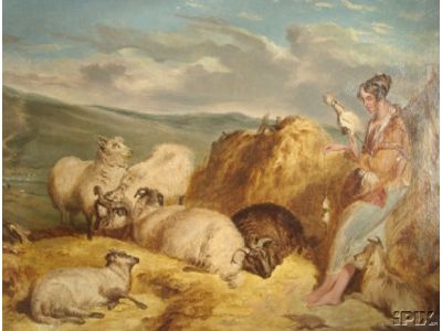 Spinning Shepherdess