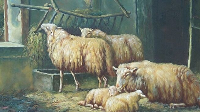 Splendid Sheep Persons