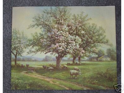 Spring Sheep Litho