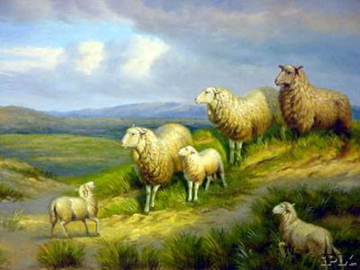 Spring Sheep on the Hill