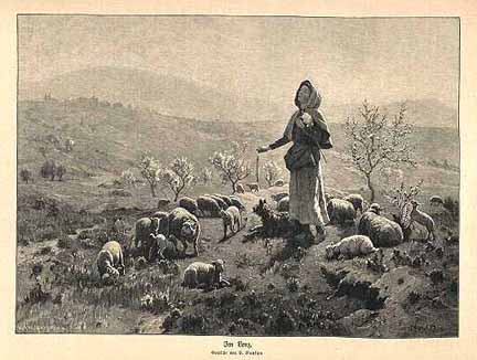 Spring Shepherdess