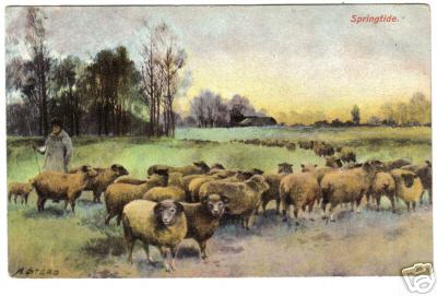 Springtide Shepherd with Sheep