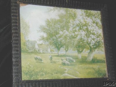 Springtime Sheep