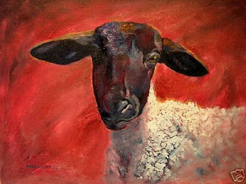 Suffolk Ewe Oil