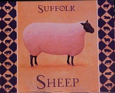 Suffolk Sheep