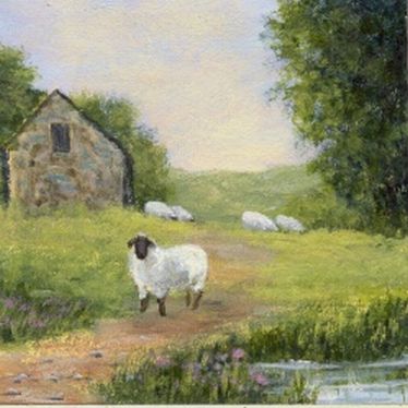 Suffolk Sheep By a Stone Shed