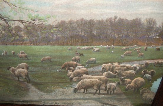 Suffolk Sheep with Lambs