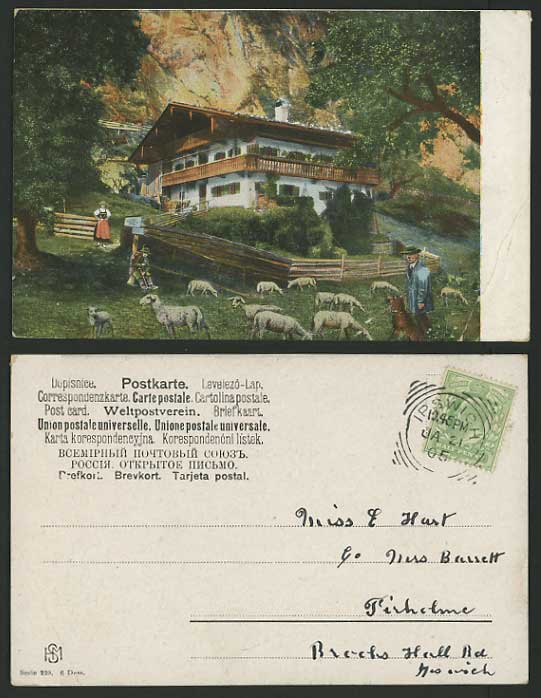 Swiss 1905 Postcard Shepherd Dog and Sheep