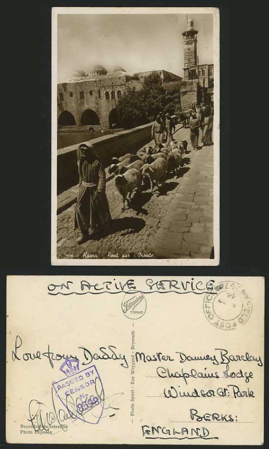 Syria 1944 Postcard Hama Bridge Orontes Sheep Shepherd