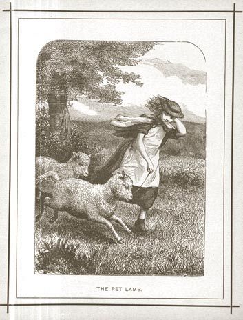 The Pet Lambs
