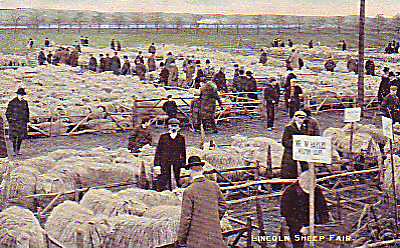 The Sheep Fair at Lincoln Lincolnshire Early 1900S