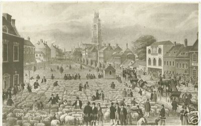 The Sheep Lair at Boston