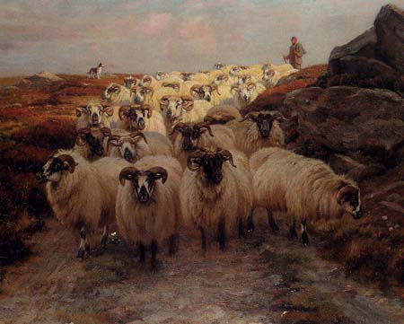 The Shepherd with Blackface Sheep
