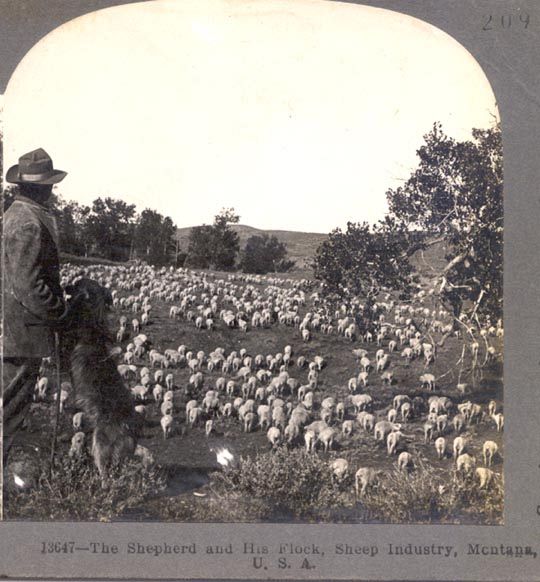 The Shepherd with His Flock and Dog