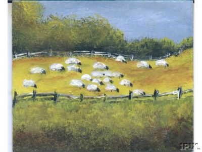 Tiny Painting Sheep a Grazing