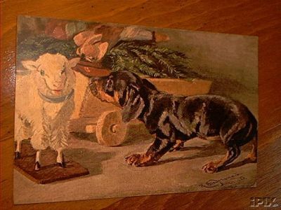 Toy Lamb and Dachshun