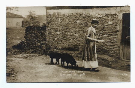 Turk Walking Sheep on a Leash