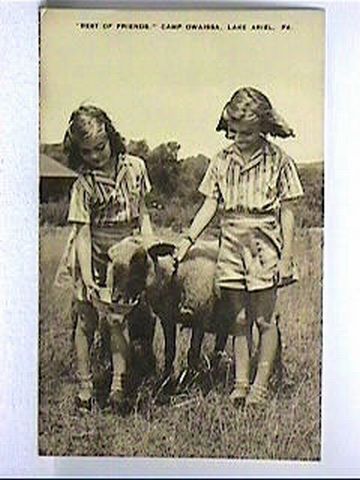 Twin Girls Feed Sheep