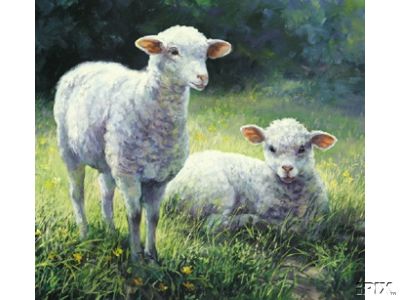 Twin Lambs Crosstich