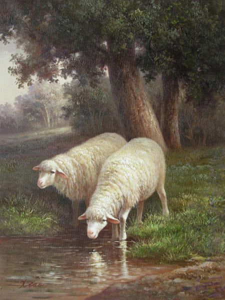 Two Fat Ewes By Water