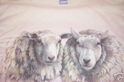 Two Sheep