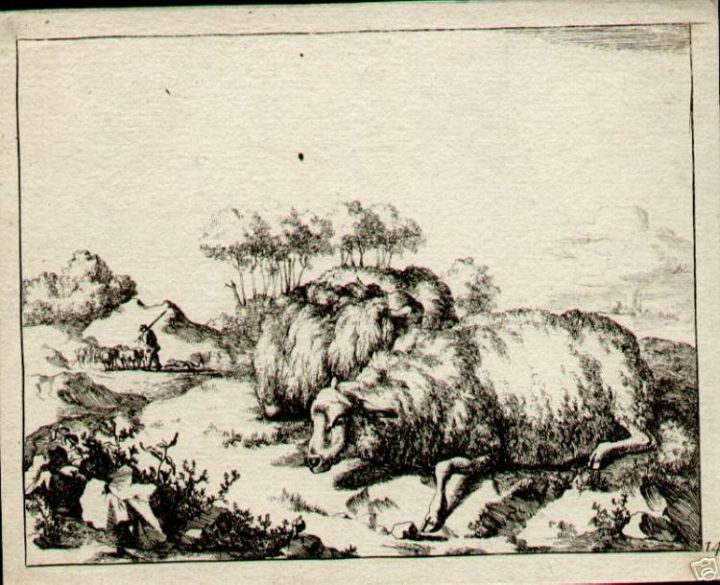 Two Sheep By Potter