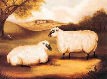Two Sheep in a Landscape Poster