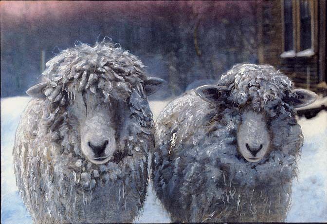 Two Sheep in Snow