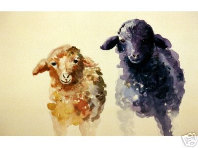 Two Sheep Watercolor