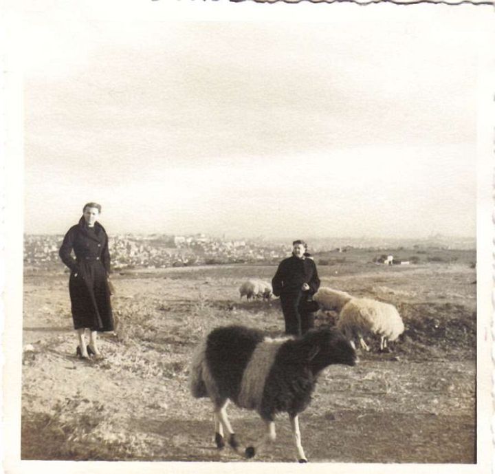 Two Women with Sheep Photo