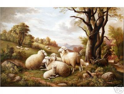 Victorian Sheep in England