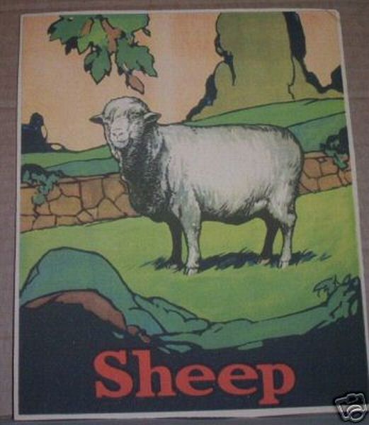 Vintage Sheep Illustration
