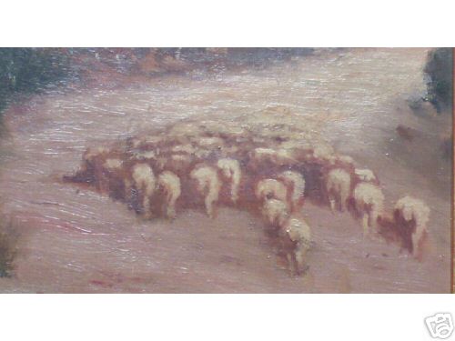 Walker Herding Sheep